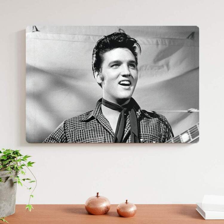 Placa Decorativa Retro Vintage Elvis Presley 9