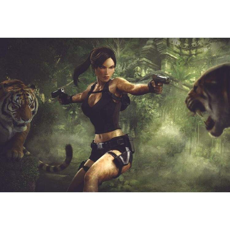 Placa Decorativa Tomb Raider 1