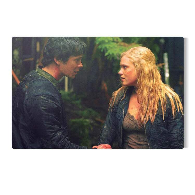 Placa Decorativa The 100 2