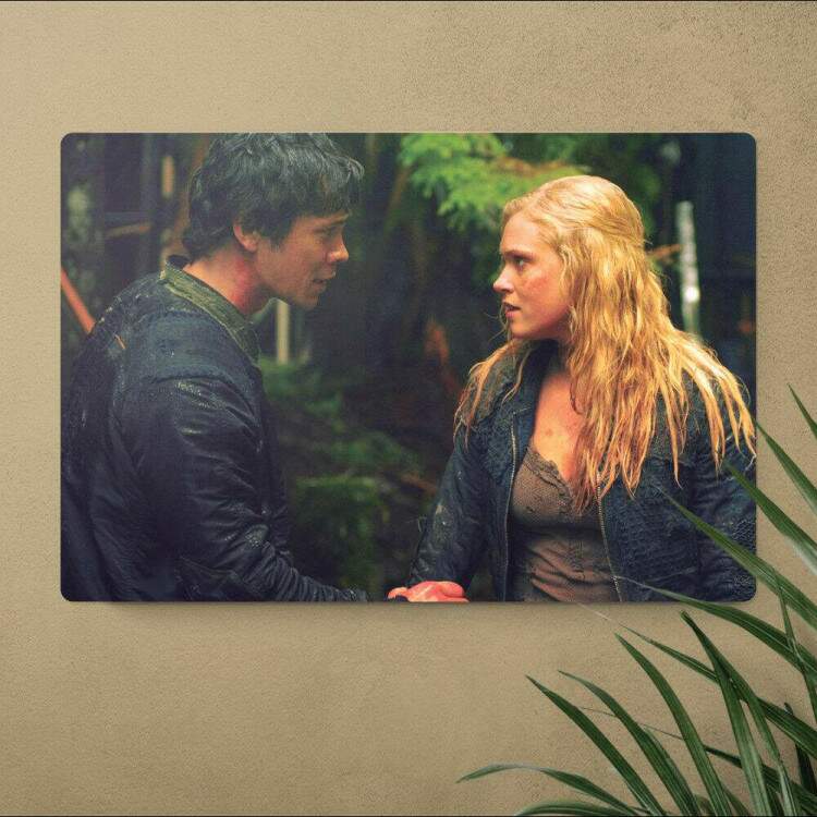 Placa Decorativa The 100 2