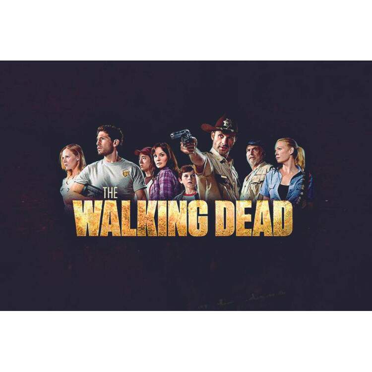 Placa Decorativa The Walking Dead 1