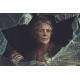 Placa Decorativa The Walking Dead 3