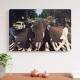Placa Decorativa Beatles 7 Foto Cl�ssica