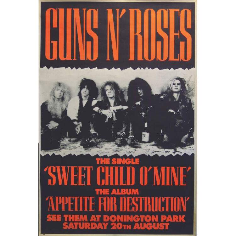 Placa Decorativa Guns n Roses 2