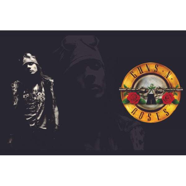 Placa Decorativa Guns n Roses 3