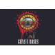 Placa Decorativa Guns n Roses 4
