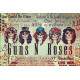 Placa Decorativa Guns n Roses 6