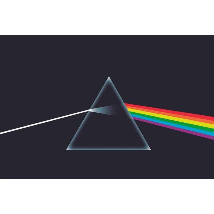 Placa Decorativa Pink Floyd 8