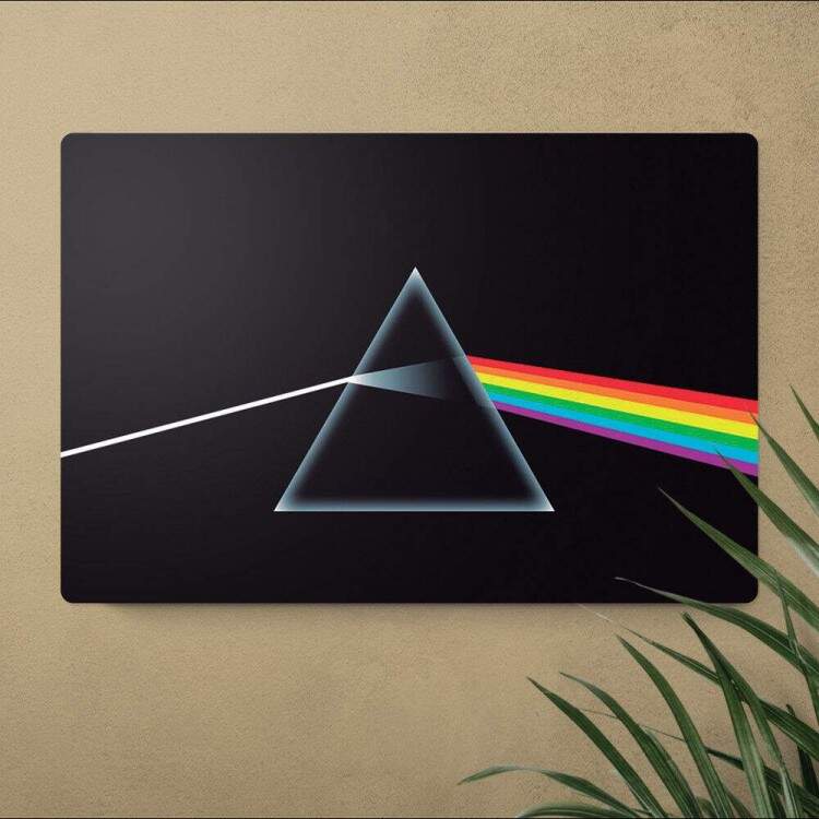 Placa Decorativa Pink Floyd 8