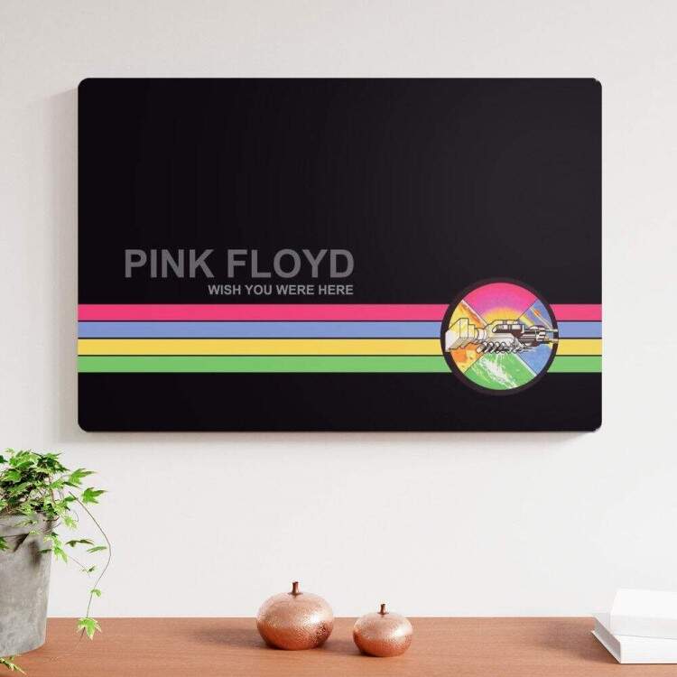 Placa Decorativa Pink Floyd 9