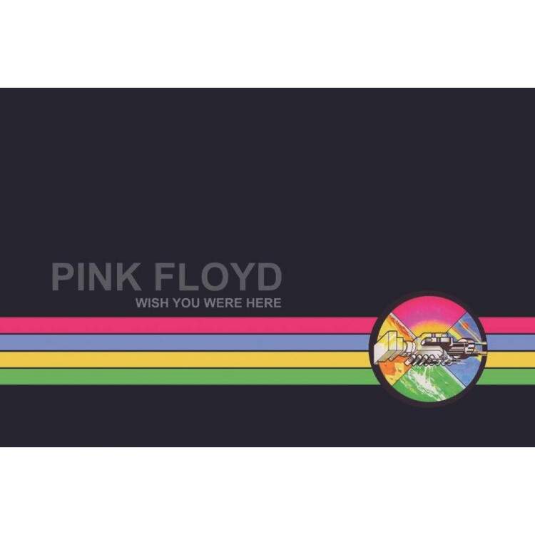 Placa Decorativa Pink Floyd 9