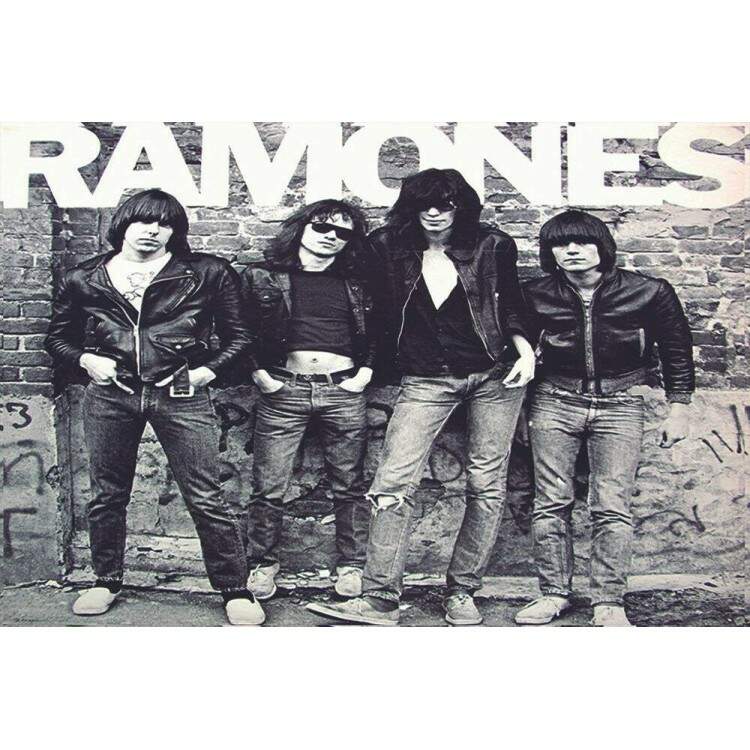 Placa Decorativa Ramones 8