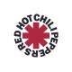 Placa Decorativa Red Hot Chili Peppers 7