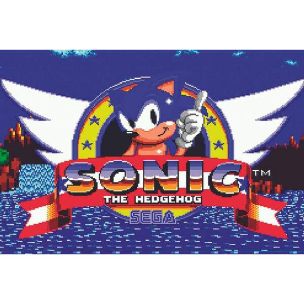 Placa Decorativa Sonic 5