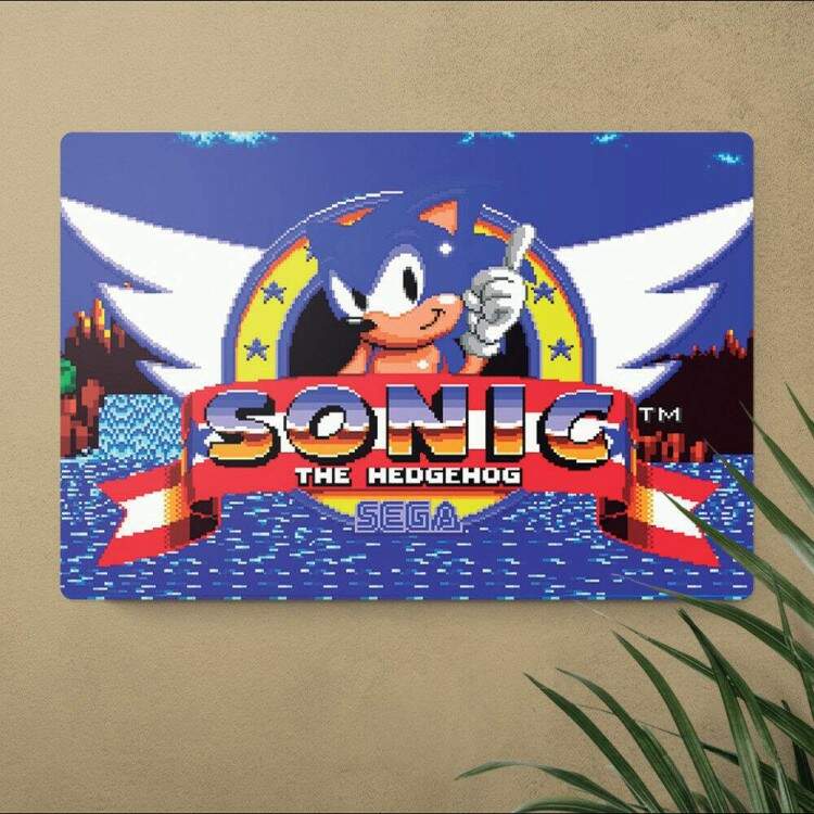 Placa Decorativa Sonic 5