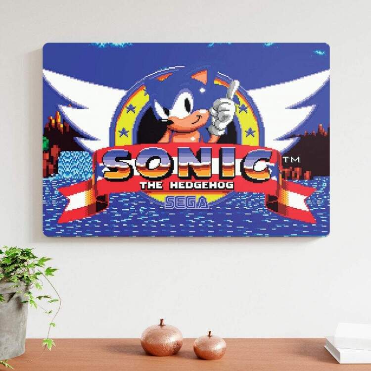 Placa Decorativa Sonic 5