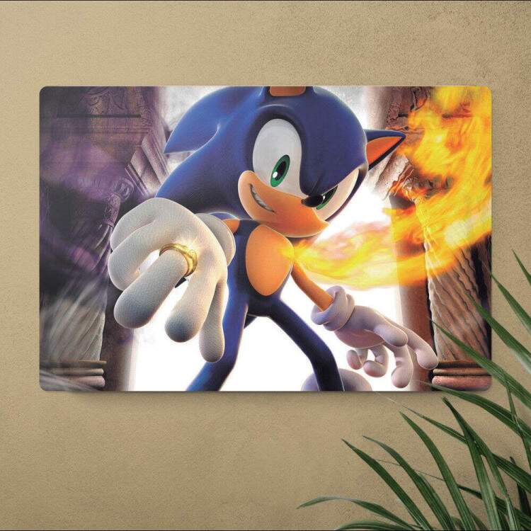 Placa Decorativa Sonic 11