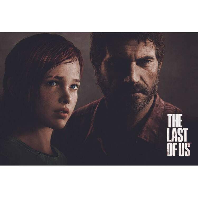 Placa Decorativa The Last Of Us 10