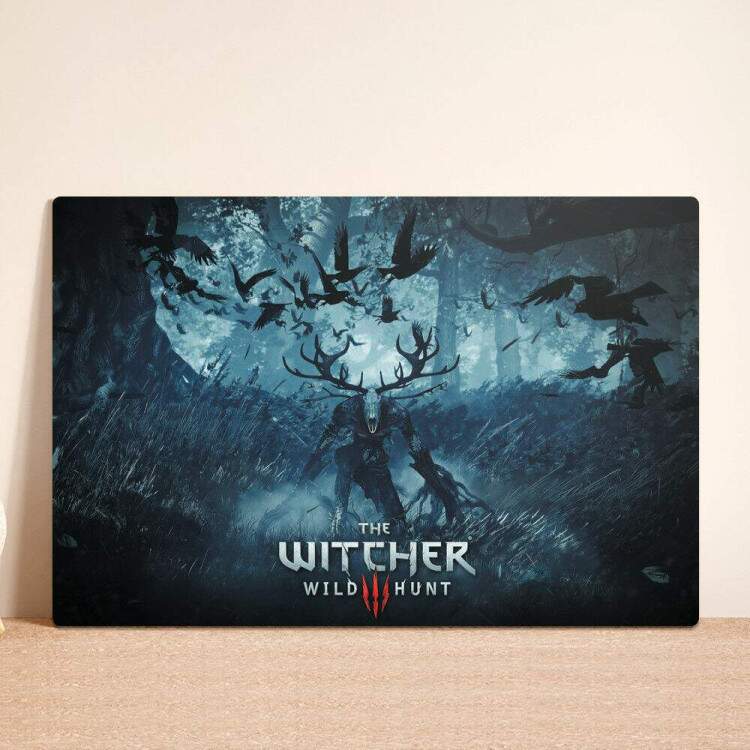 Placa Decorativa The Witcher 2