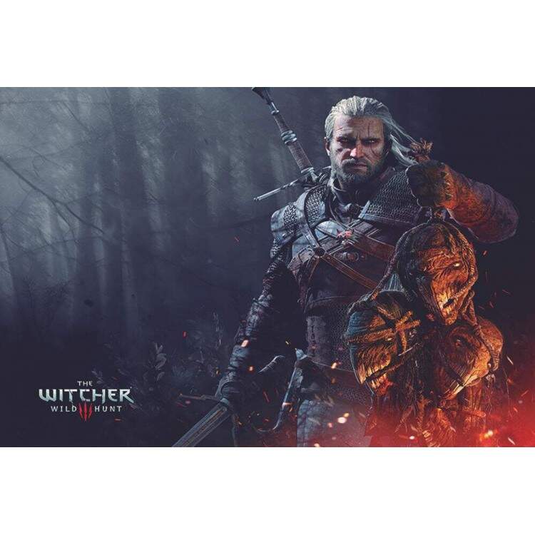 Placa Decorativa The Witcher 3