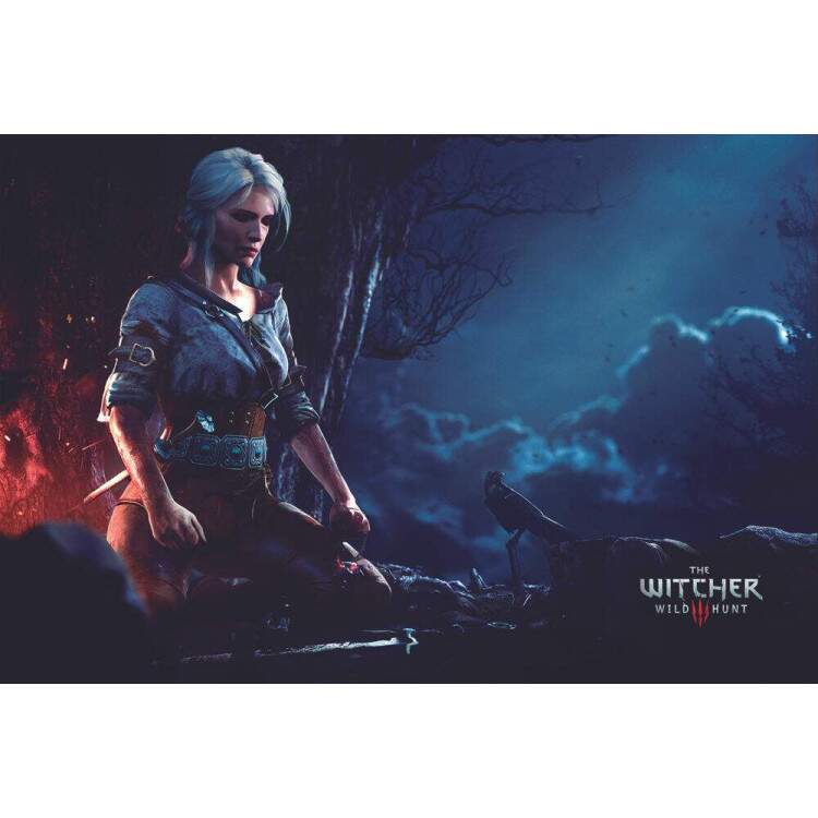 Placa Decorativa The Witcher 4