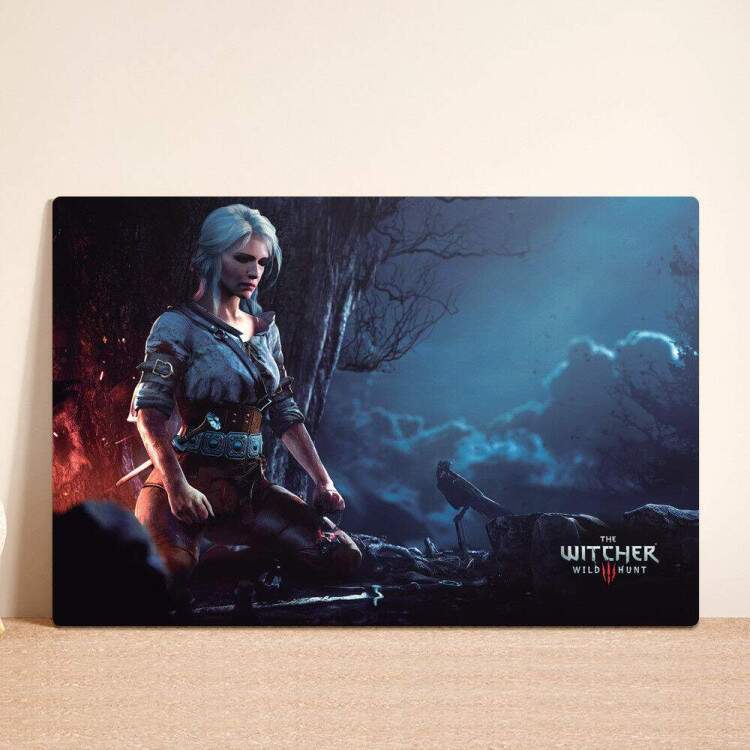 Placa Decorativa The Witcher 4