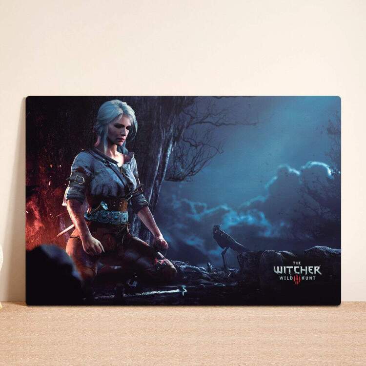 Placa Decorativa The Witcher 4