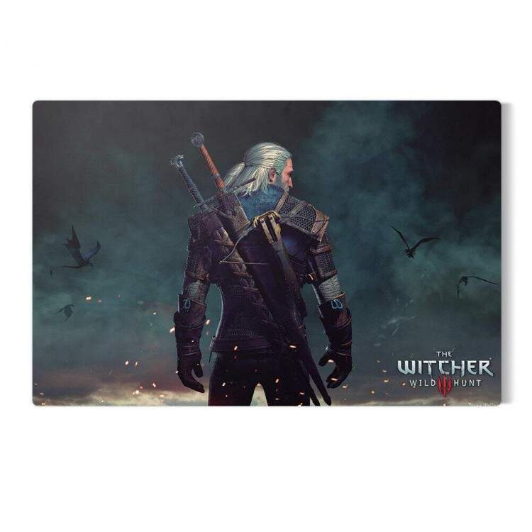 Placa Decorativa The Witcher 11