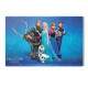 Placa Decorativa Frozen 12
