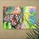 Placa decorativa Animais 11 Borboleta