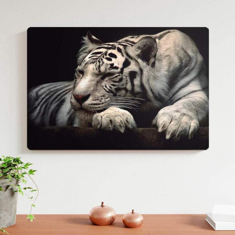 Placa decorativa Animais 22 Tigre Branco