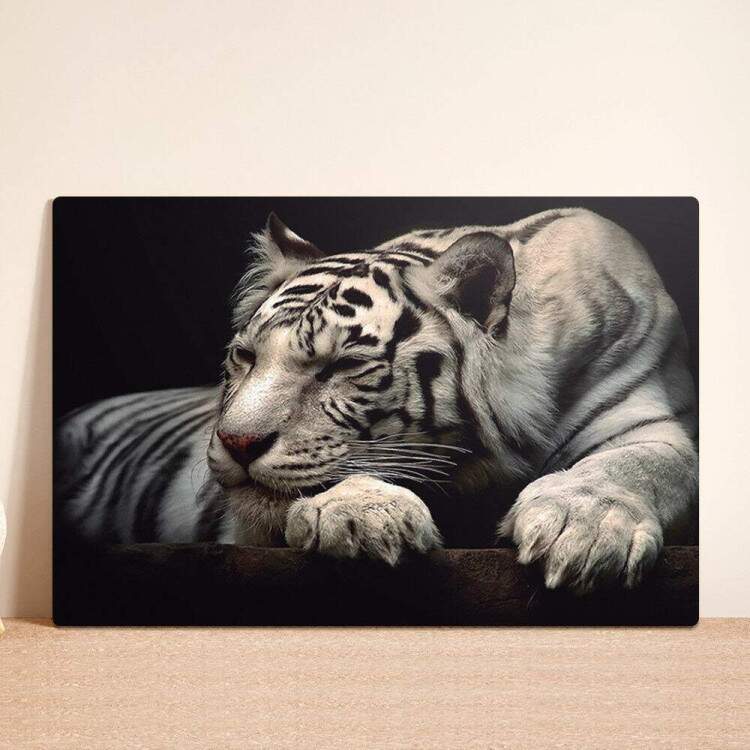 Placa decorativa Animais 22 Tigre Branco