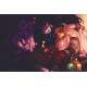 Placa Decorativa League of Legends 88