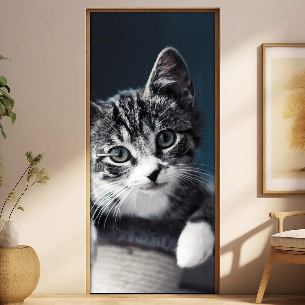 Adesivo Para Porta Animais Gatinho Mod. 6