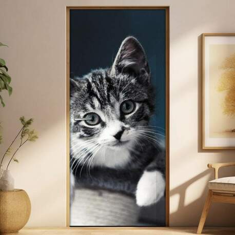 Adesivo Para Porta Animais Gatinho Mod. 6