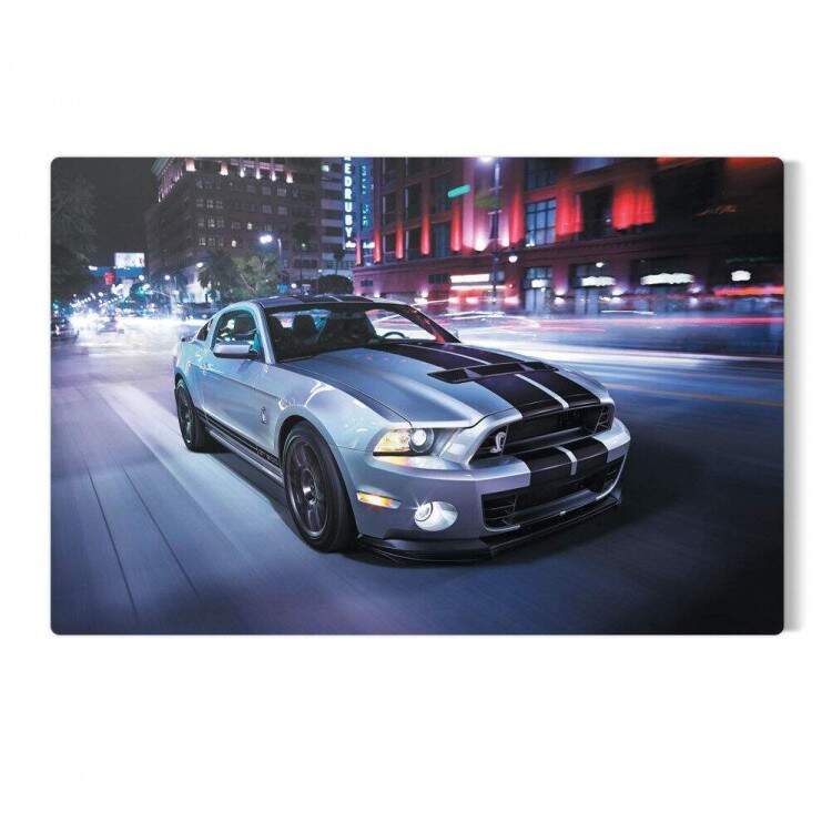 Placa Decorativa Mustang 5