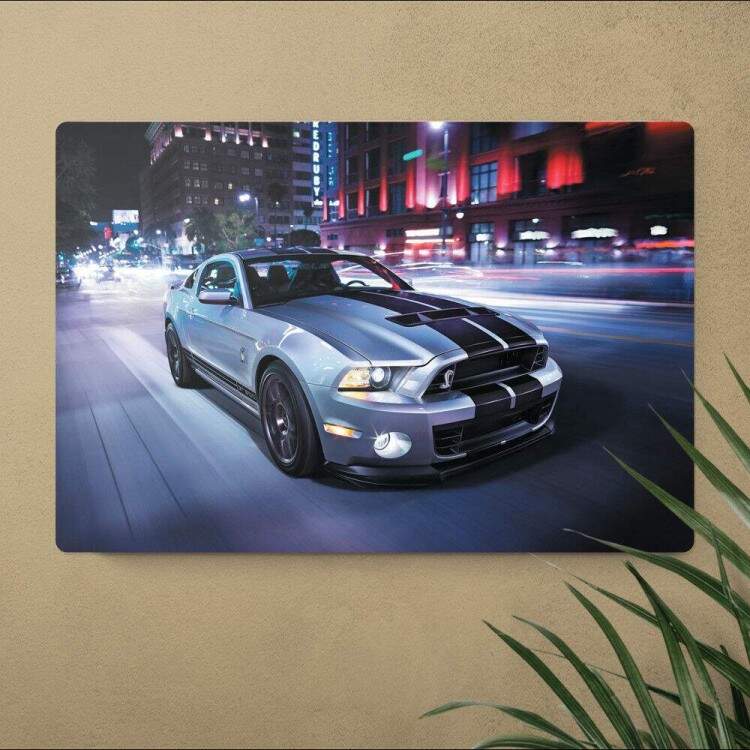 Placa Decorativa Mustang 5