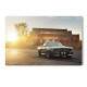 Placa Decorativa Mustang 7