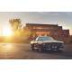 Placa Decorativa Mustang 7