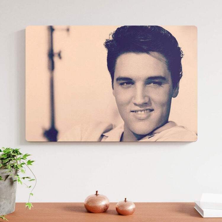 Placa Decorativa Elvis Presley 7