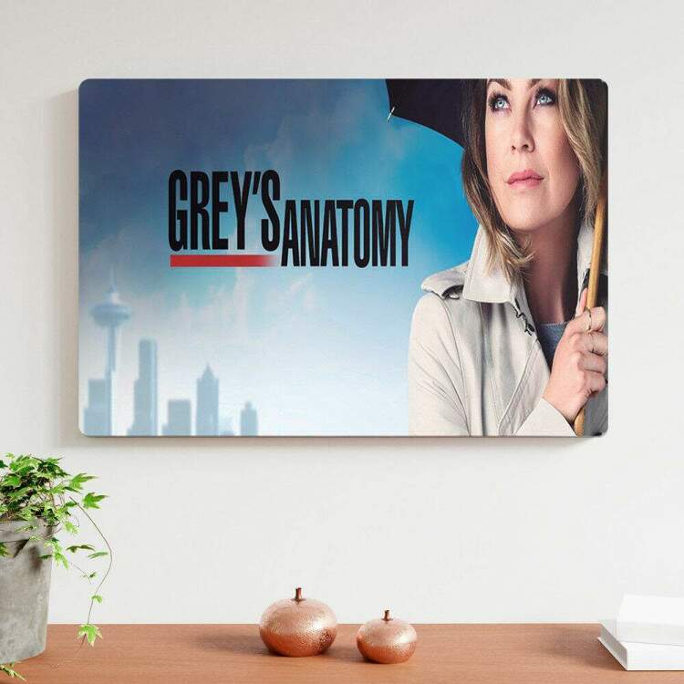 Placa Decorativa Greys Anatomy 1