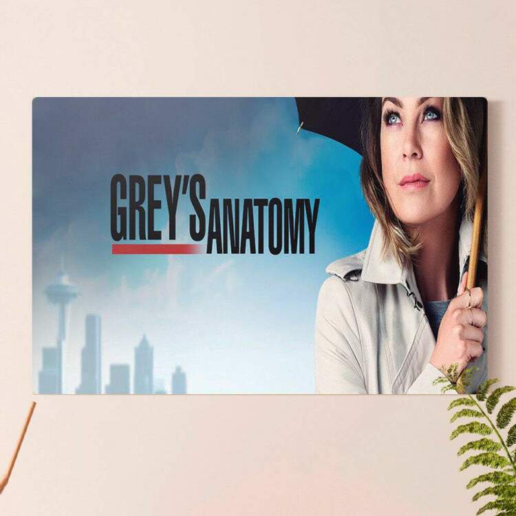 Placa Decorativa Greys Anatomy 1