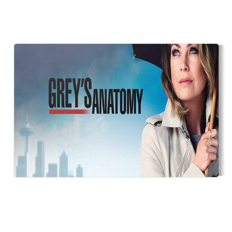 Placa Decorativa Greys Anatomy 1