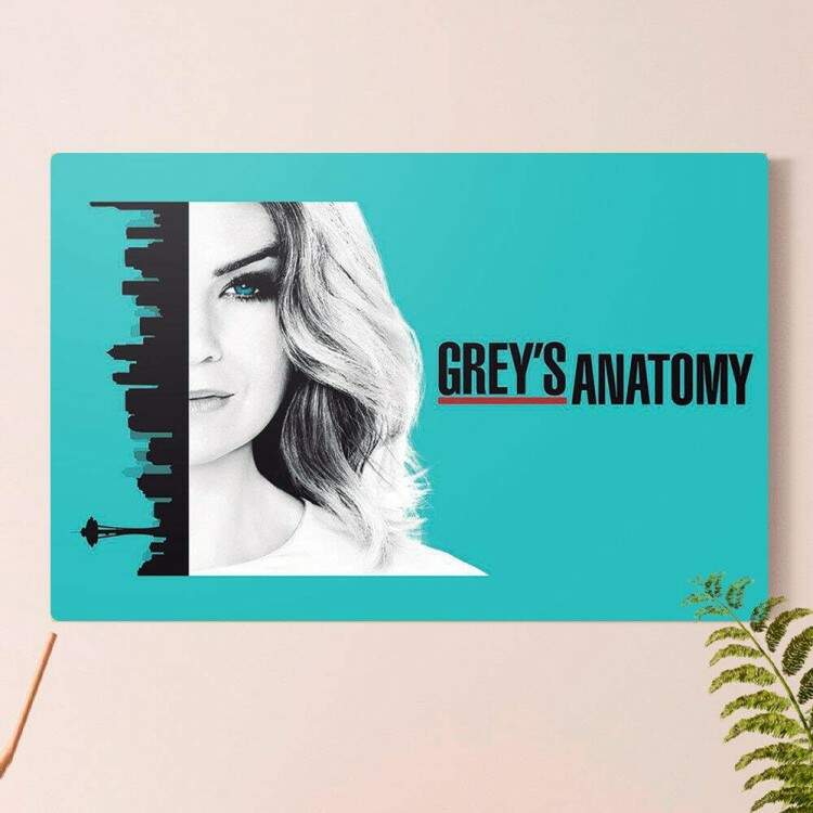 Placa Decorativa Greys Anatomy 2