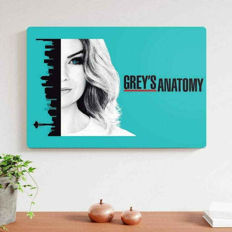 Placa Decorativa Greys Anatomy 2