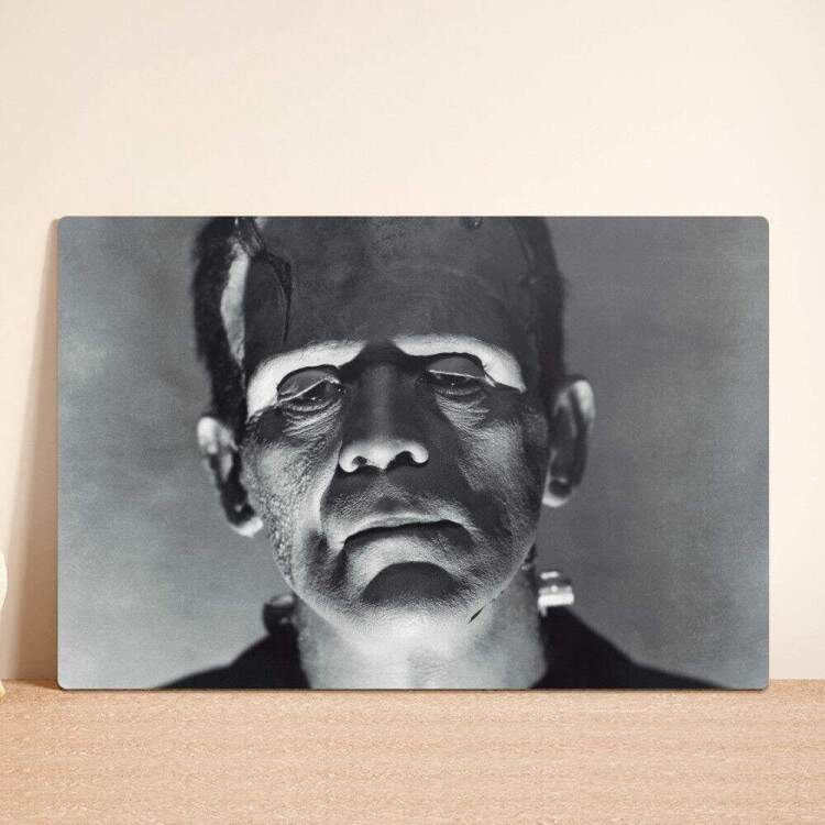 Placa Decorativa Frankenstein 5