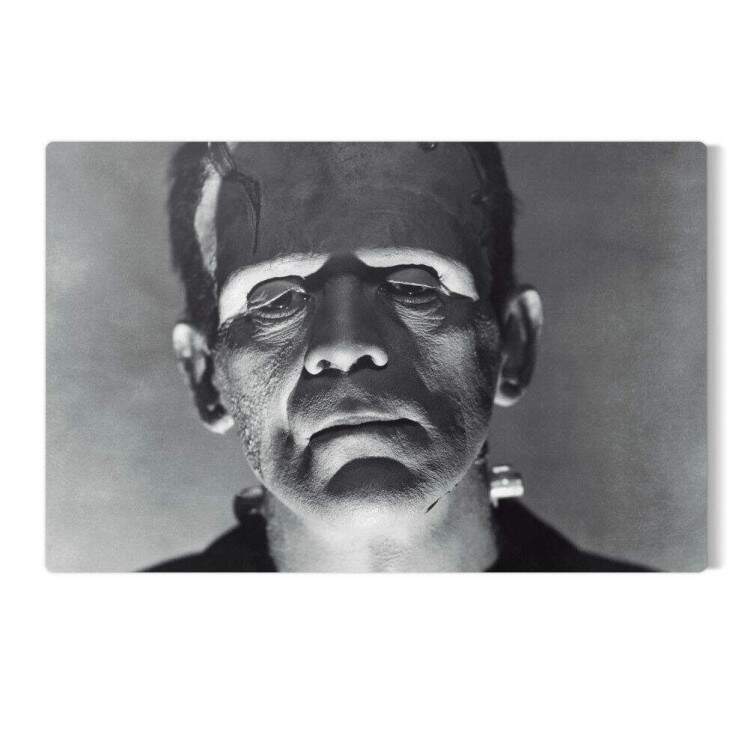 Placa Decorativa Frankenstein 5