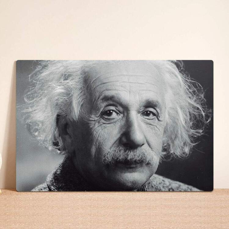 Placa Decorativa Einstein 4