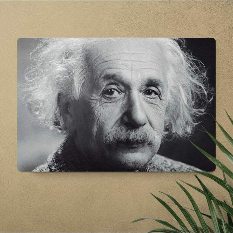 Placa Decorativa Einstein 4