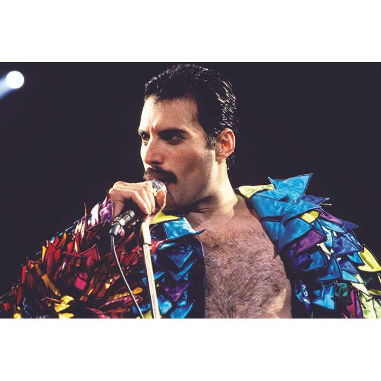 Placa Decorativa Freddie Mercury 2